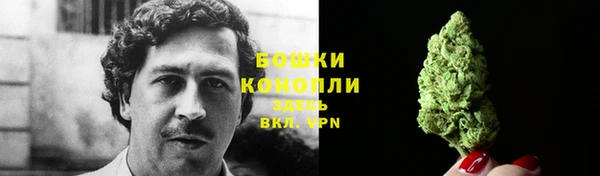 прущие крисы Беломорск